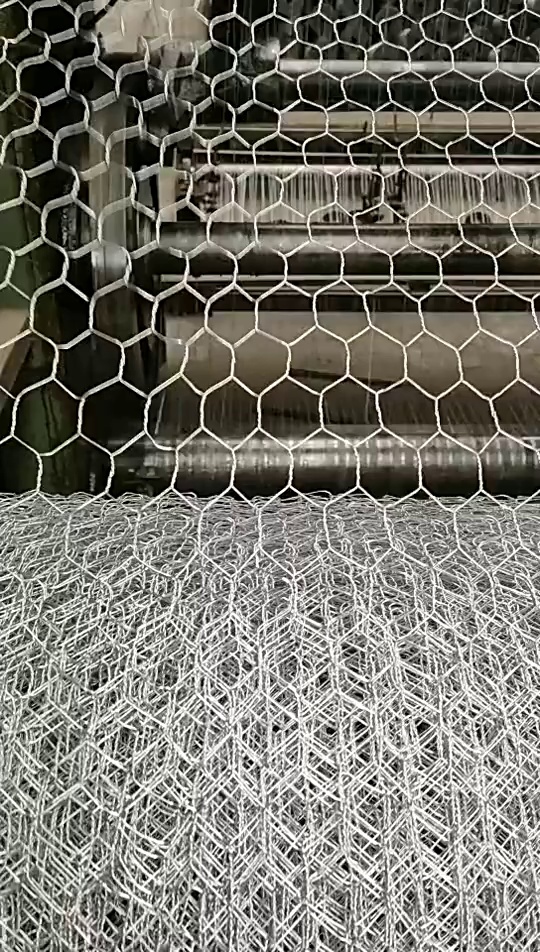 缩略图 1