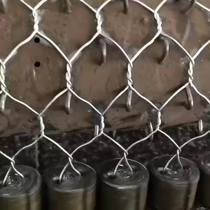 缩略图 1