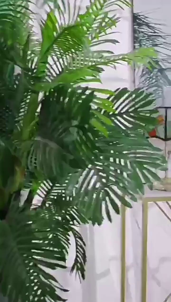 缩略图 1
