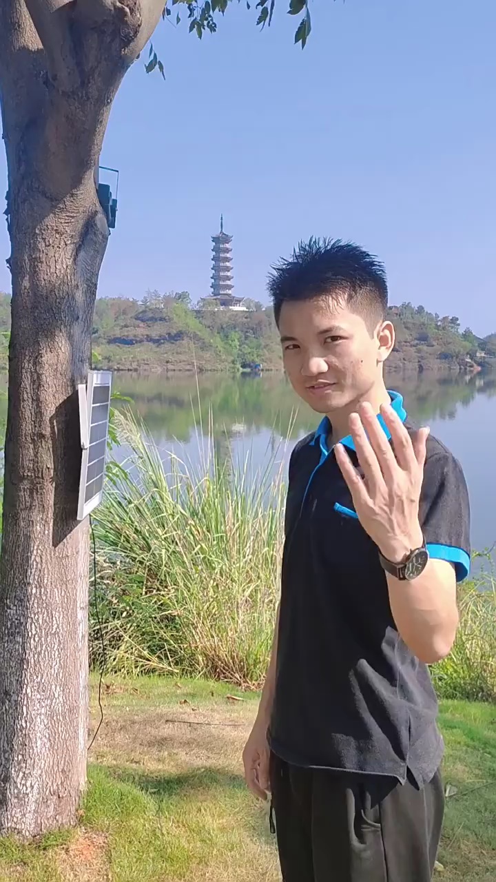 缩略图 1