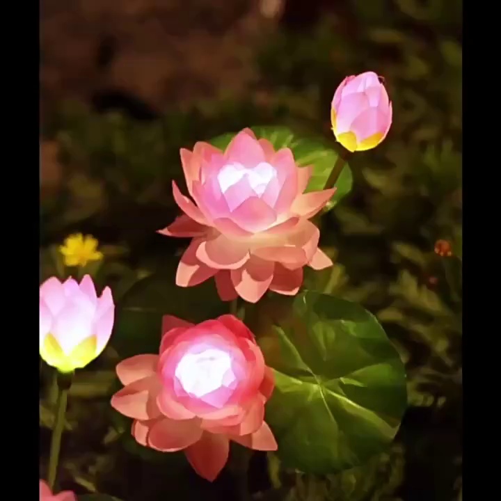 缩略图 1