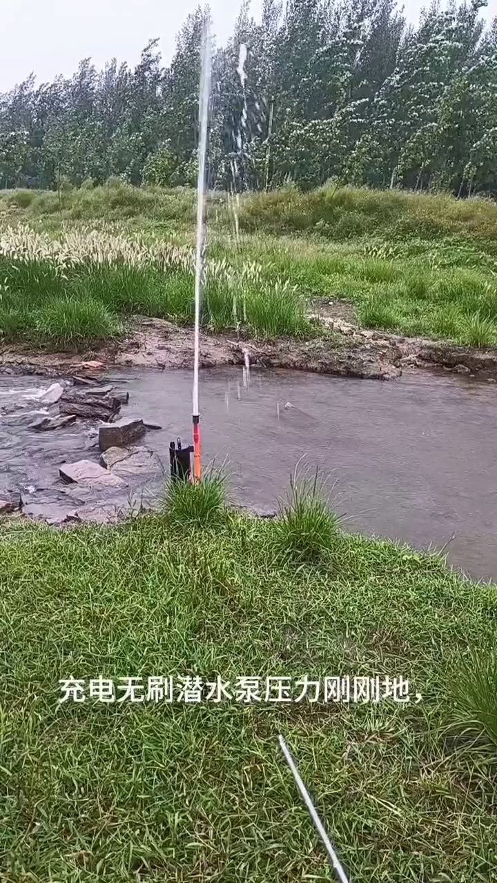 缩略图 1