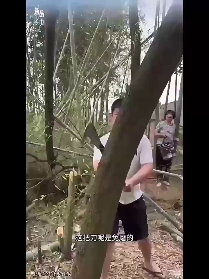 缩略图 1