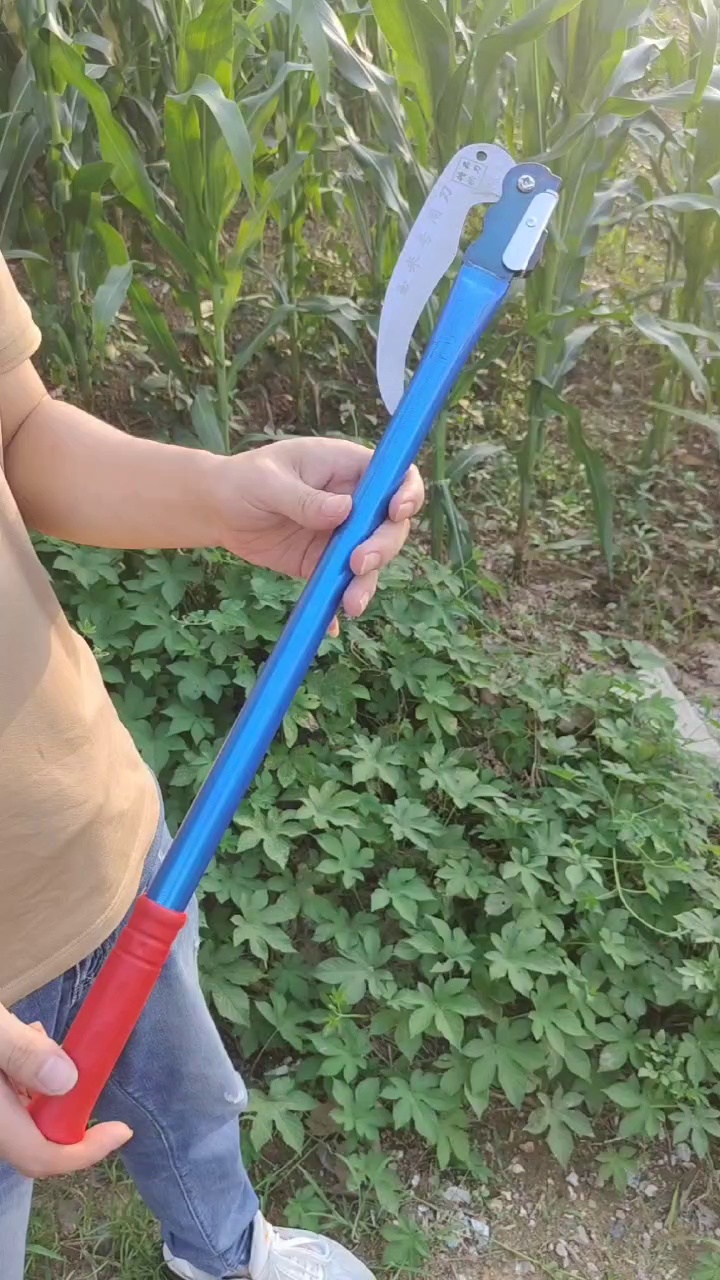 缩略图 1