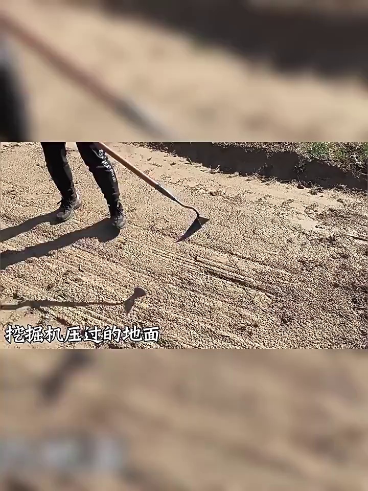 缩略图 1