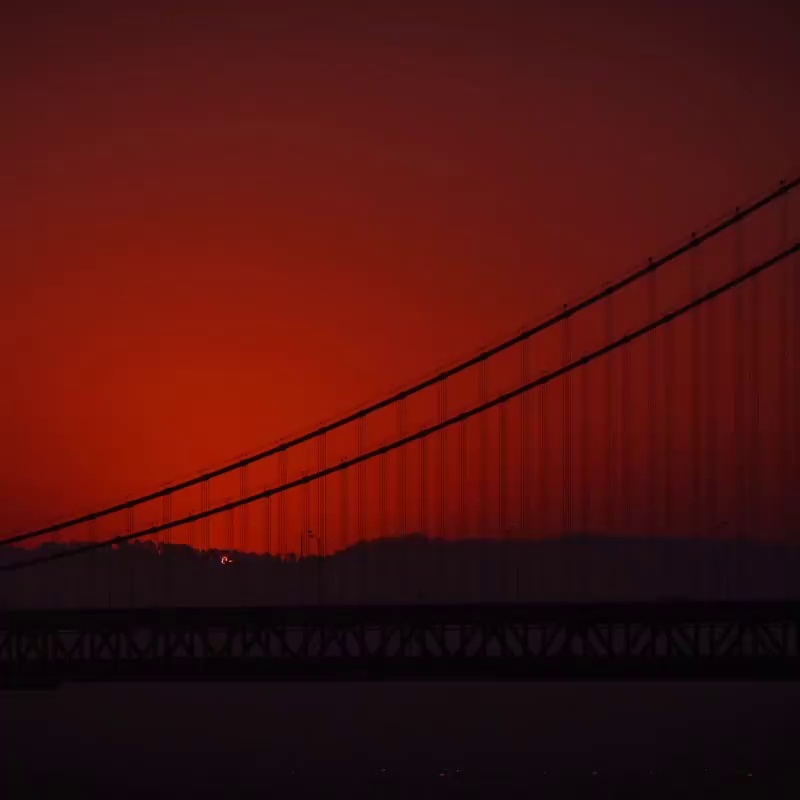 挂胶手套园艺批发PVC小平挂中半挂大半全十三针浸胶手套手部防滑缩略图 1