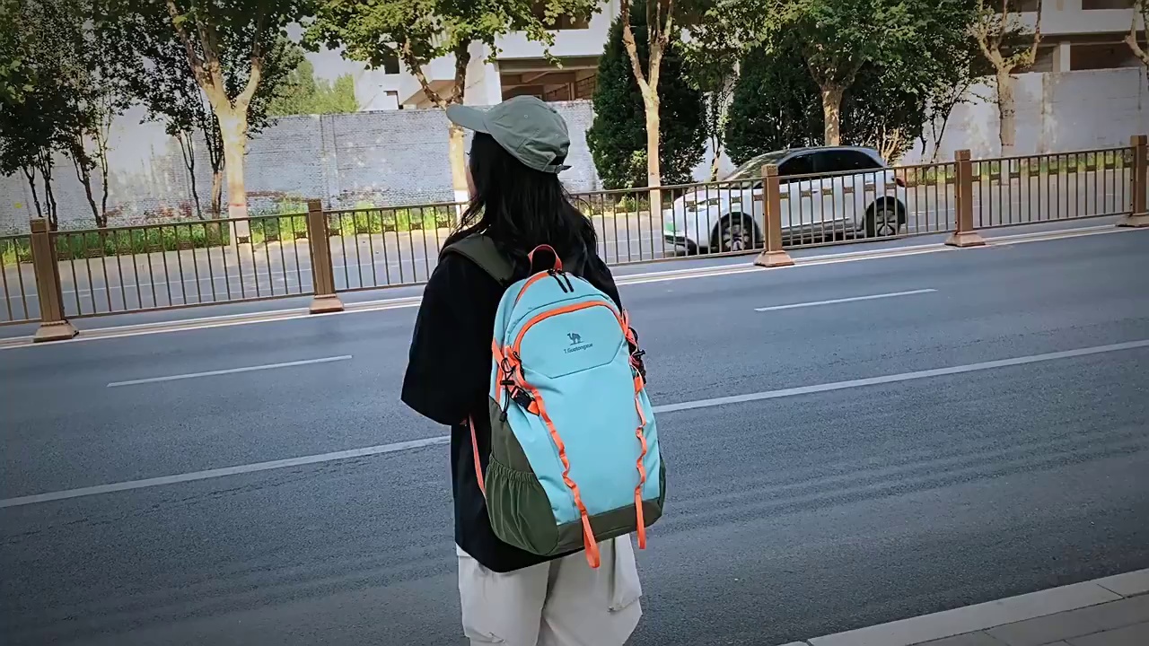 羊驼同伴跨境登山包户外徒步旅行包大容量双肩包越野多功能礼品包缩略图 1